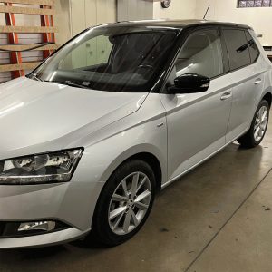 FABIA-1